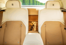Rolls-Royce presenta el Spectre Bailey, con un tributo a los animales