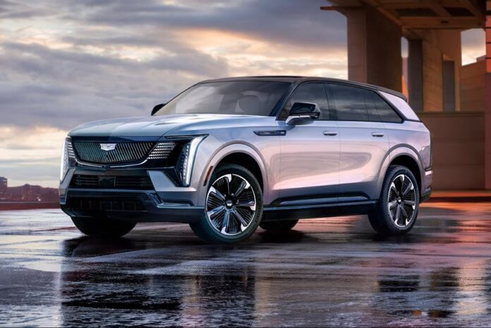 3-75.jpg